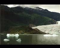 bglaicer.jpg (5288 bytes)