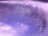 devlight 2.jpg (5031 bytes)