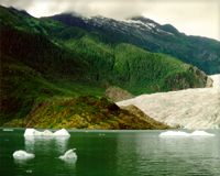 glaicer bear new 200.jpg (8041 bytes)