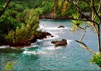 looking_down_on_blue_green_water_with_volcanic_brown_rock.jpg (6429 bytes)