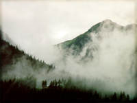 mtmist2_2s.jpg (4168 bytes)