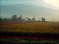 train6.jpg (7075 bytes)